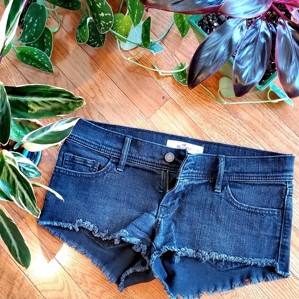 Hollister Shorts